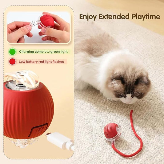 Rolling Ball Pet Toy