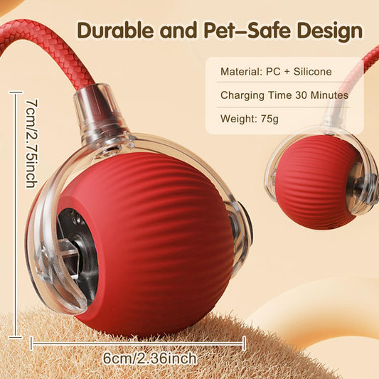 Rolling Ball Pet Toy